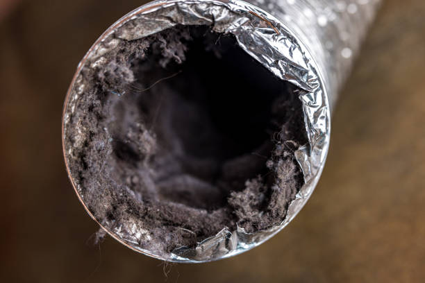 Best Affordable Air Duct Cleaning  in Stockton, MO